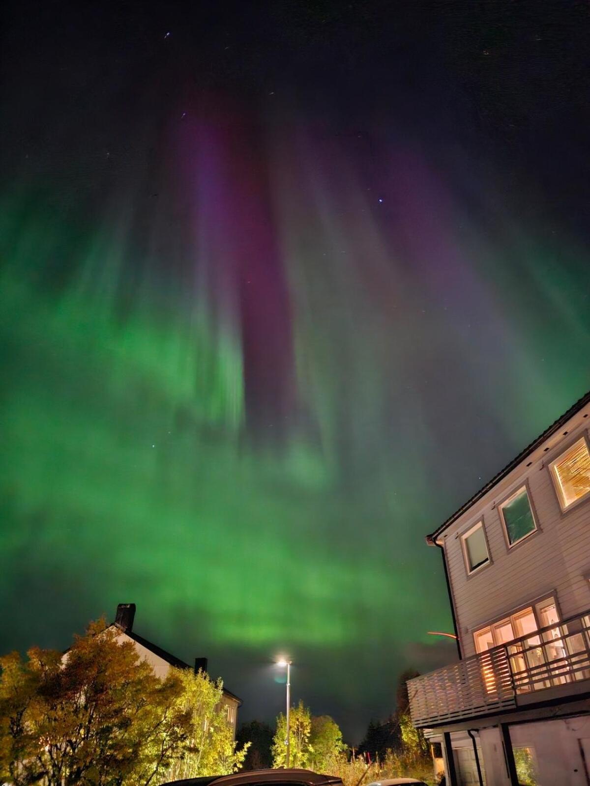Cozy, With View In * Tromsø
