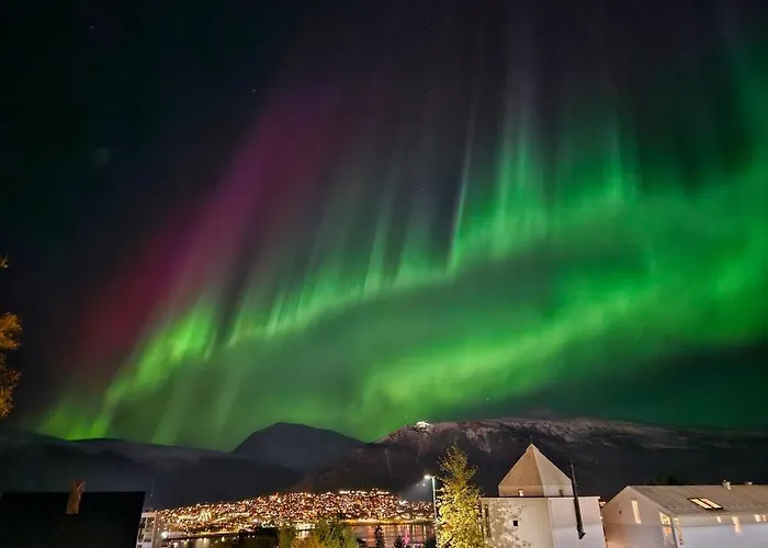 Cozy, Central Apartment With Best View In Tromso